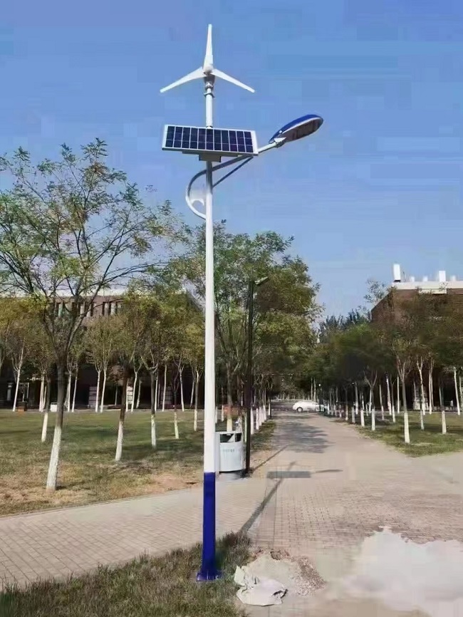 太陽能水蜜桃视频免费观看