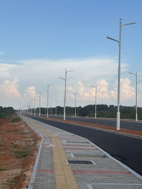 農村道水蜜桃视频免费观看