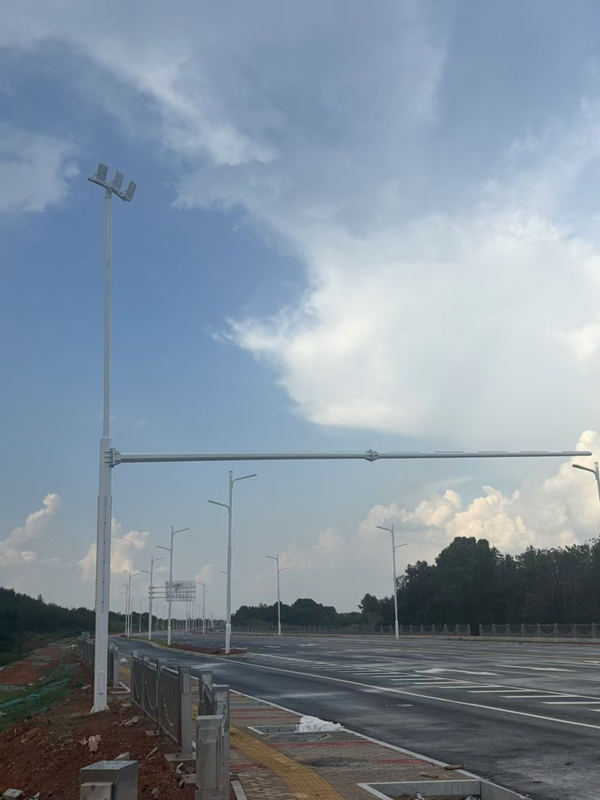 單臂道水蜜桃视频免费观看